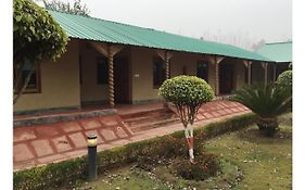 Sudha Ayurveda